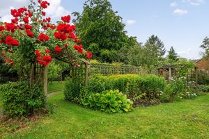 Photo 2- click for photo gallery